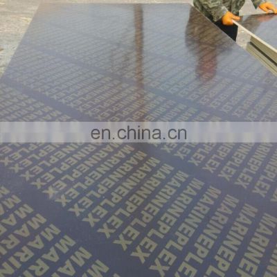 Hot  sale with any black film MA  logo for constructions  chengxin wood factory