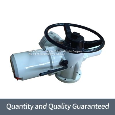 Rotoque multi rotary gate valve device IQ35 industrial bus electric actuator