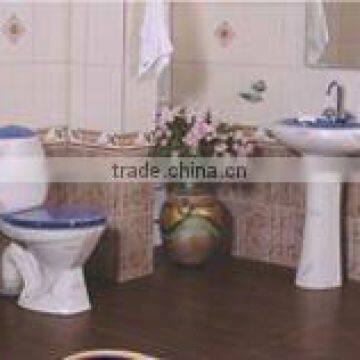 Sanitary ware Toilet