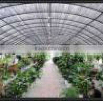Agriculture Plastic Film 5 Layers PE Greenhouse Film photo-2
