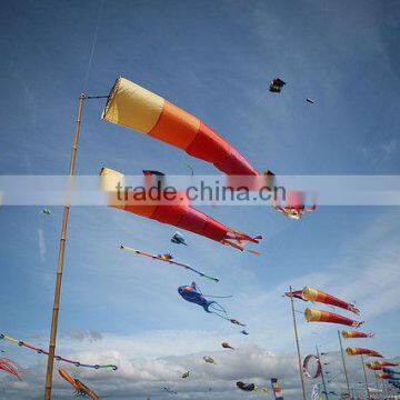 all kinds of customed windsock