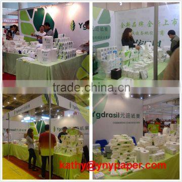 100% Virgin Pulp Facial Tissue Brands for Europe Market
