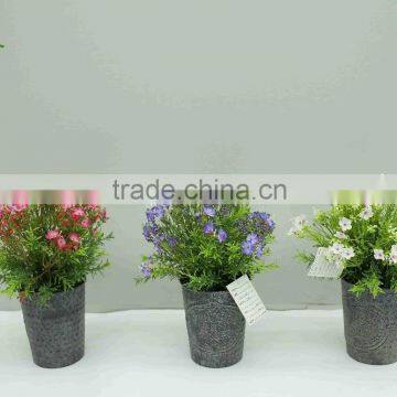 high quality bonsai tree,bonsai pot for landscape