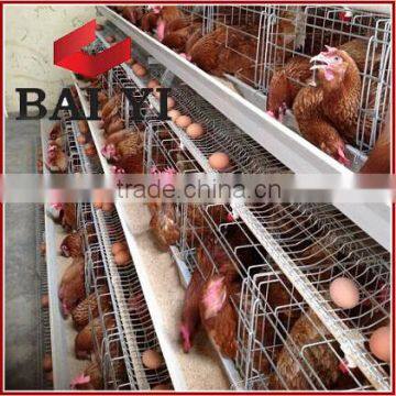 Layer Egg Chicken Cage/Poultry Farm House Design