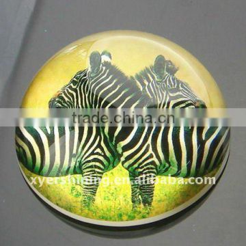 2011new hot sale beautiful murano glass paperweight