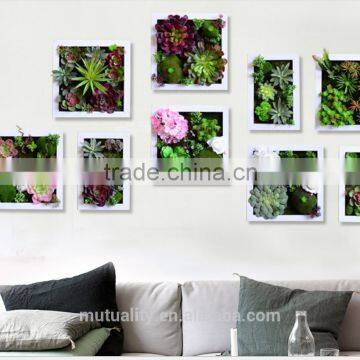 new products 2016 home decoration artificial succulent plants tropical plants