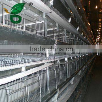 chicken farm equipment for sale