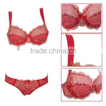 Sexy Embroidery and Transparent Underwear Set women underwear bra 2016