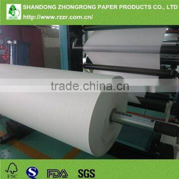 PE Coated Paper for Medical Packaging Use photo-3