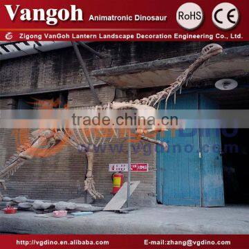 VGS12-CE certificated skeleton dinosaur manufacturer