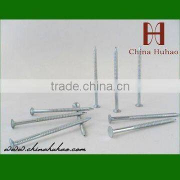 annular thread ring shank nails-tianjin factory