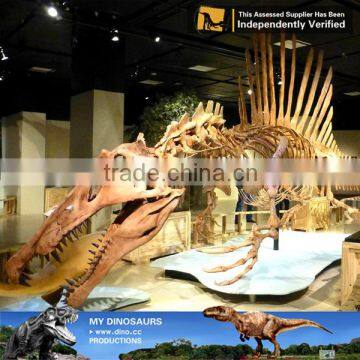 MY Dino-C048 Playground Dinosaur Skeleton of Spinosaurus photo-3