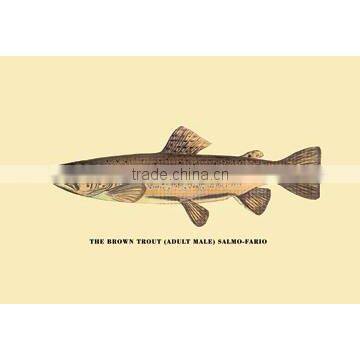 The Brown Trout 12x18 Giclee on canvas