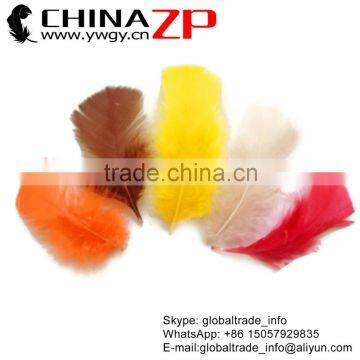 ZPDECOR Wholesale Plumage Bulk Dyed Mix Colors Turkey Flat T-Base Body Feathers