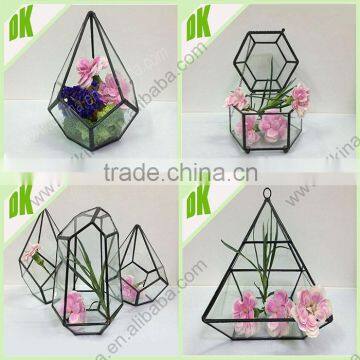 <Make up your house with art terrarium> Hand Drawn colorful Geometric Terrarium With Succulents