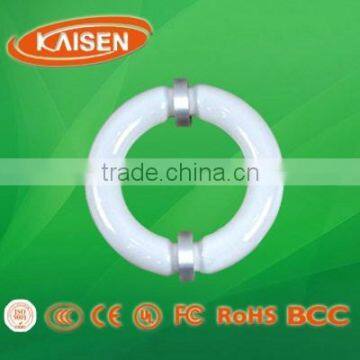300W China Style LVD Energy Saving Induction Circular Tube With Ballast photo-2