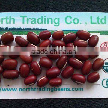 Adzuki Bean ( Heilongjiang origin,2010 crop,hps)