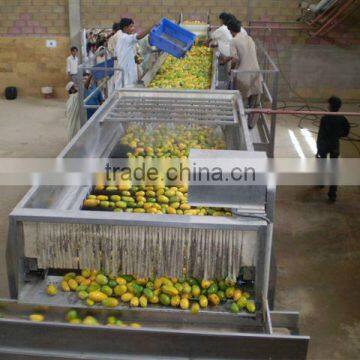 complete set of mango pulp processing line