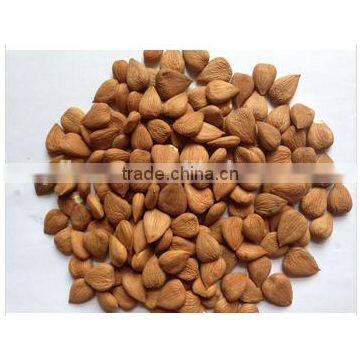 High Quality raw Sweet Buckwheat price