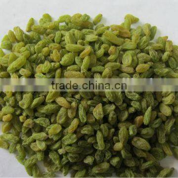 Green Raisins, Sultana Raisins, Seedless Raisins photo-2