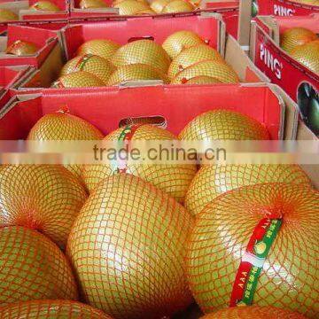 honey pomelo for sale2012