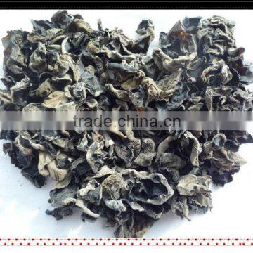 Dried well qualilty Black Fungus best price