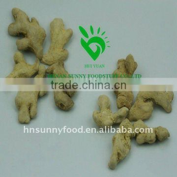 New Crop DEHYDRATED GINGER ROOT