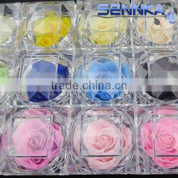 Natural fresh cut flower preservative ring box preserved rose