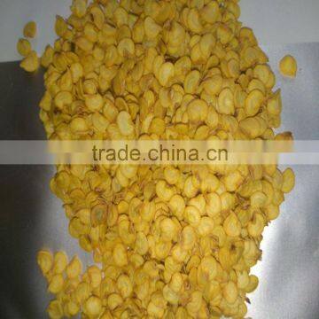 2016Top Level and Cheap Price Super Big Fruit F1 Hybrid Good Adaptability Green Pepper Seeds photo-3