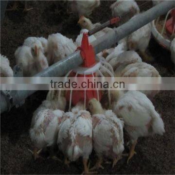 Automatic chicken feeder pan equipment