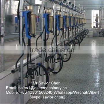 Cow Farm Milking Parlor With Milk Flow Meter Milking System