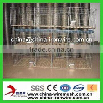 New Design Rabbit Cage for Kenya Farm