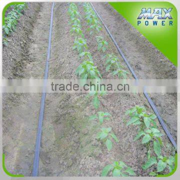 Single span greenhouse Micro Spray Tape