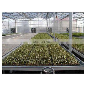 Low Cost Hydroponic Greenhouses System photo-2