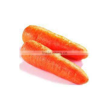 OULENO Potato Cleaning and Peeling Machine Large Roots Fruits and Vegetables Washing Peeling Machine Potato Carrot Cleaning and photo-3