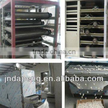 Automatic Snack Food Drying Oven, Snack Roasting Oven 180-300kg/h, Pizza Machine,Pizza Oven