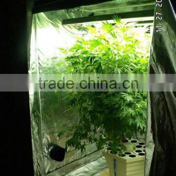 Indoor Growing Greenhouse Grow Tent