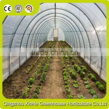 Low Price/Cost Custom Size Tunnel Greenhouse photo-6