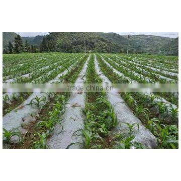 PE plastic mulching film for agriculture