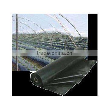 plastic agricultural mulch film