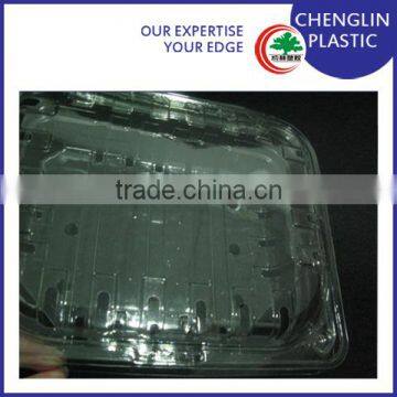 disposable blister plastic container food