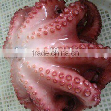 1-1.5kg Flower Shape Flower ball Frozen Octopus