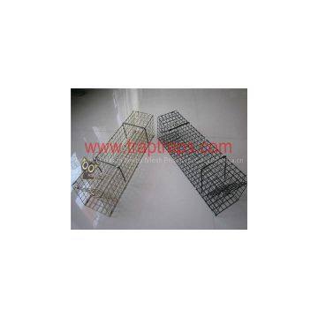 Hot Galvanizing Crab Cage Trap photo-3