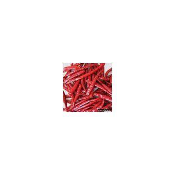 Chili