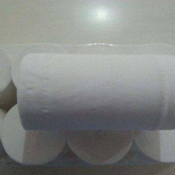 White Sanitary Toilet Paper Roll Hardwound 3-4 Ply