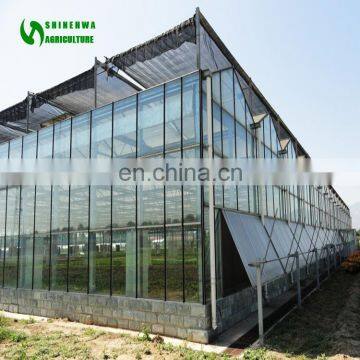 The Cheapest Hot Sale And Easily Installed Multispan Glass Greenhouse photo-4