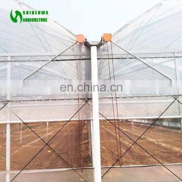 2017 Hot Selling Greenhouse Farm For Sale photo-3