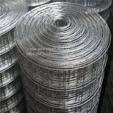 Electro Galvanized Welded Iron Wire Mesh photo-2