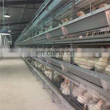 poultry chicken layer cage  price for sale