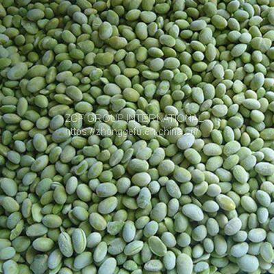 Frozen Soybean Kernels IQF